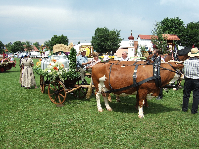 MVB - Unterstadion, Kreismusikfest, 08.06.2008 (15).JPG